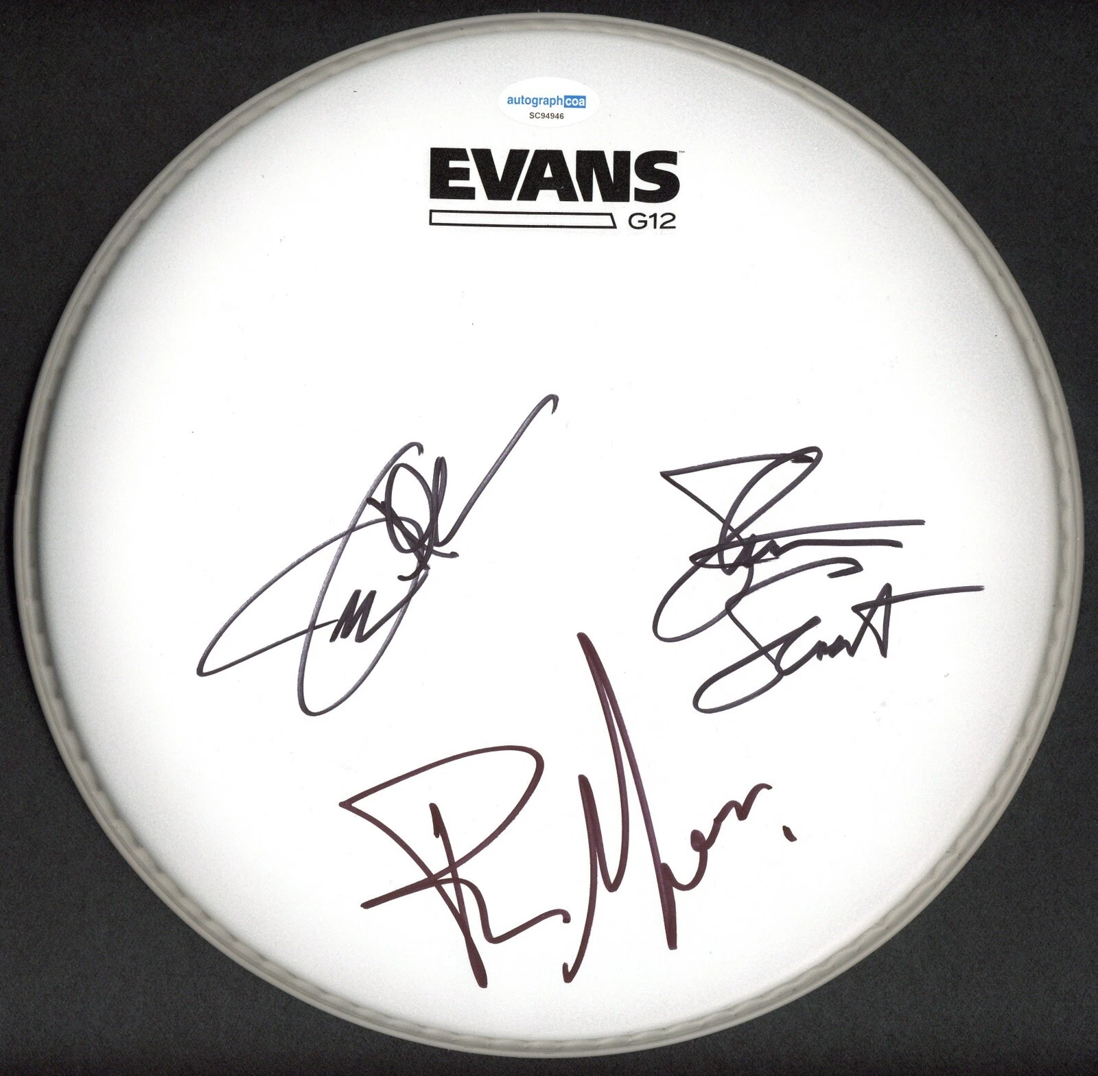 WARRANT BAND SIGNED AUTOGRAPH DRUMHEAD ACOA CHERRY PIE ALLEN SWEET ETC COLLECTIBLE MEMORABILIA