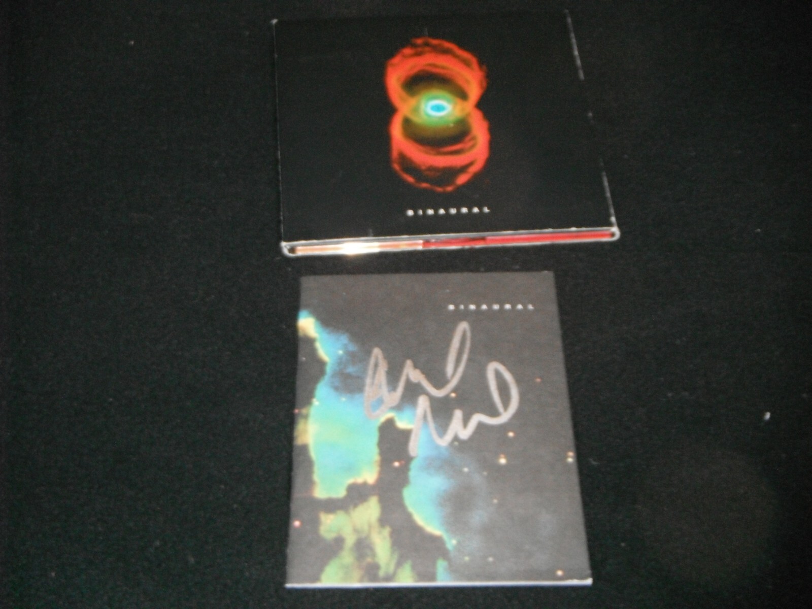 PEARL JAM MIKE MCCREADY SIGNED BINAURAL CD COVER