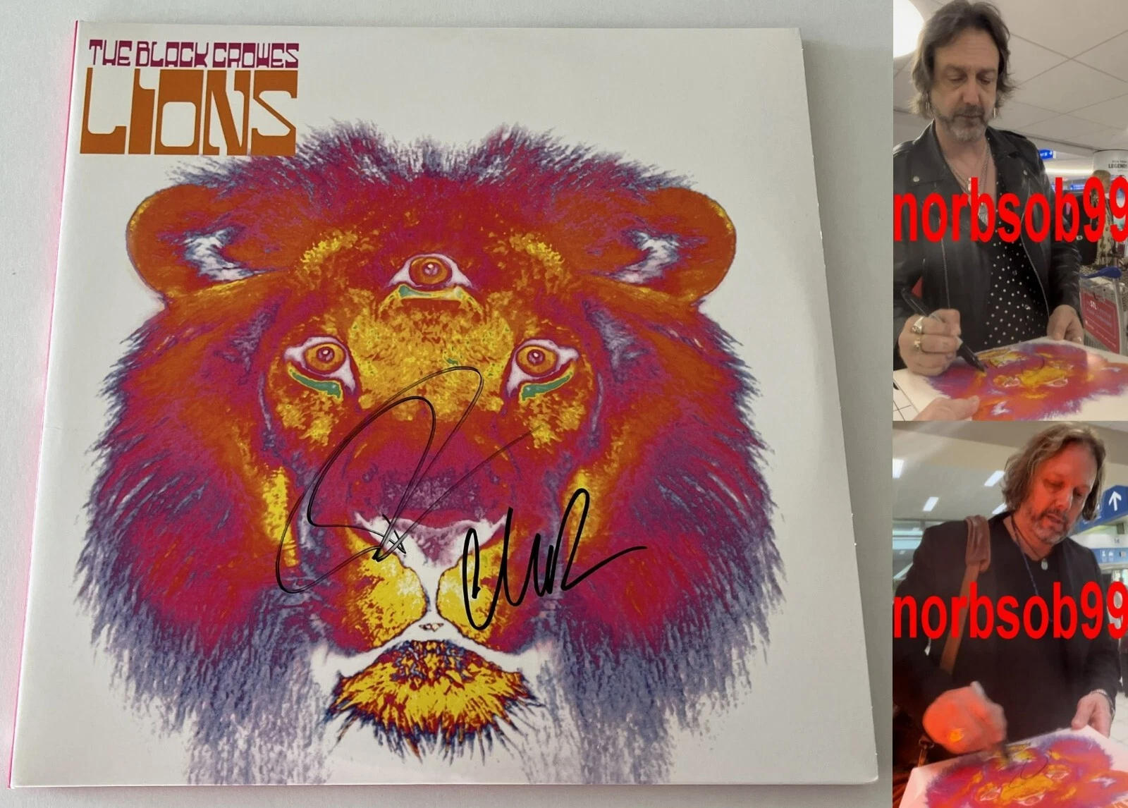THE BLACK CROWES CHRIS & RICH ROBINSON SIGNED LIONS VINYL w/PROOF & BECKETT COA