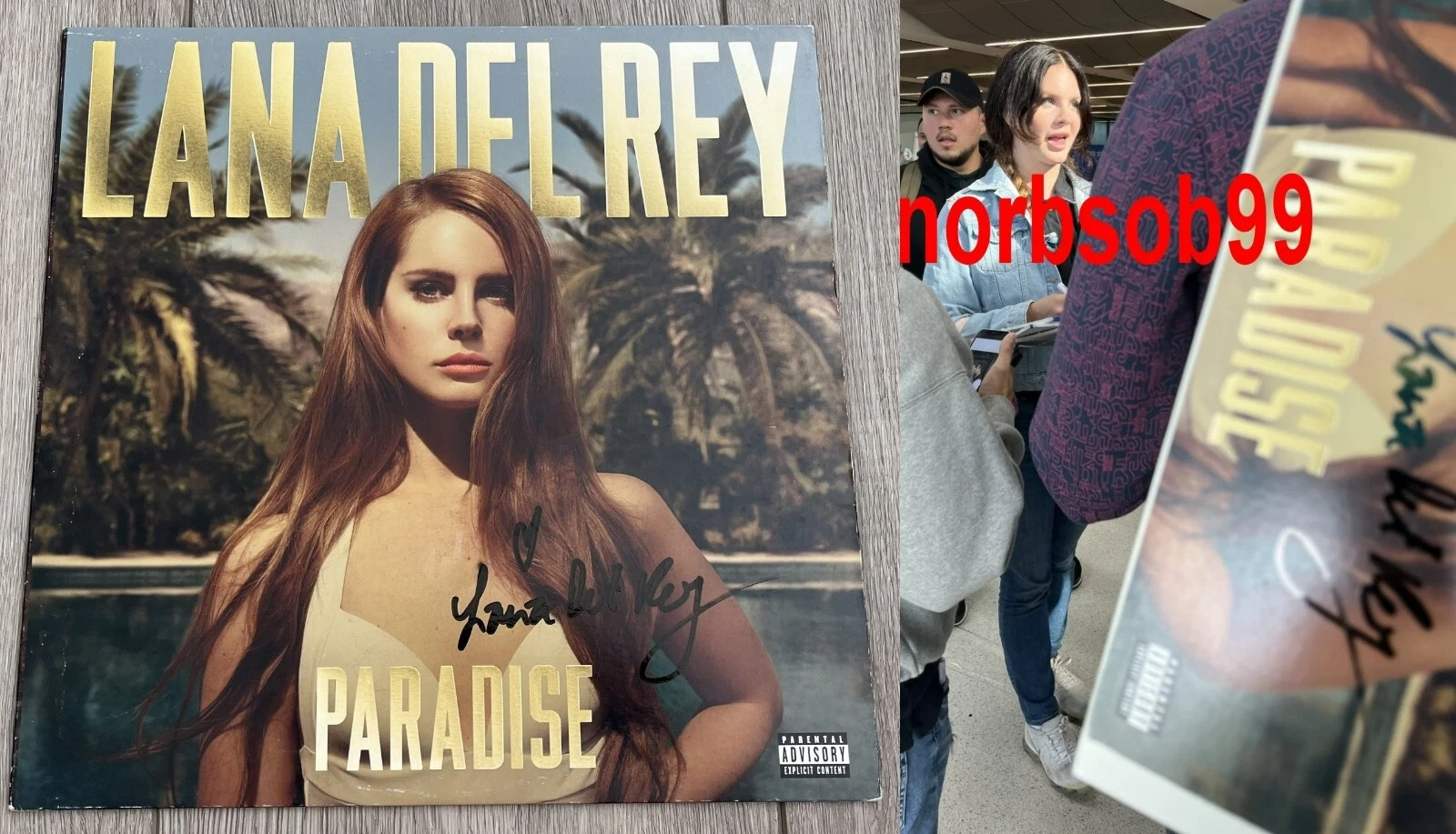 LANA DEL REY SIGNED AUTOGRAPH PARADISE VINYL ALBUM w/EXACT PROOF & BECKETT COA