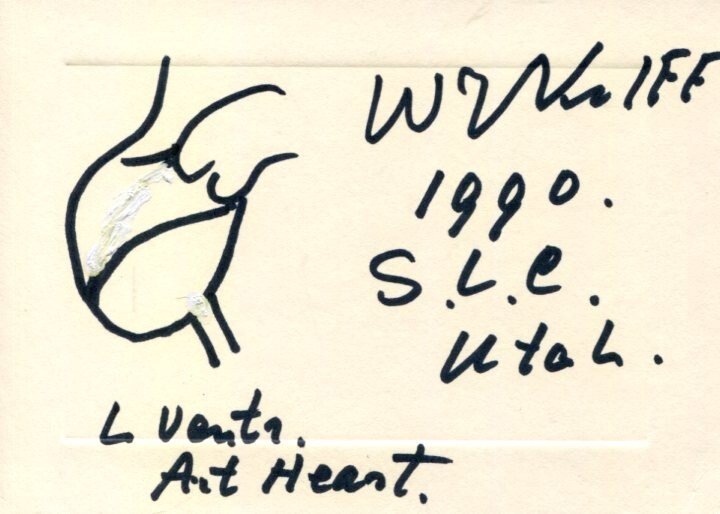 WILLEM JOHAN KOLFF ARTIFICIAL HEART DIALYSIS PIONEER SIGNED AUTOGRAPH SKETCH COLLECTIBLE MEMORABILIA