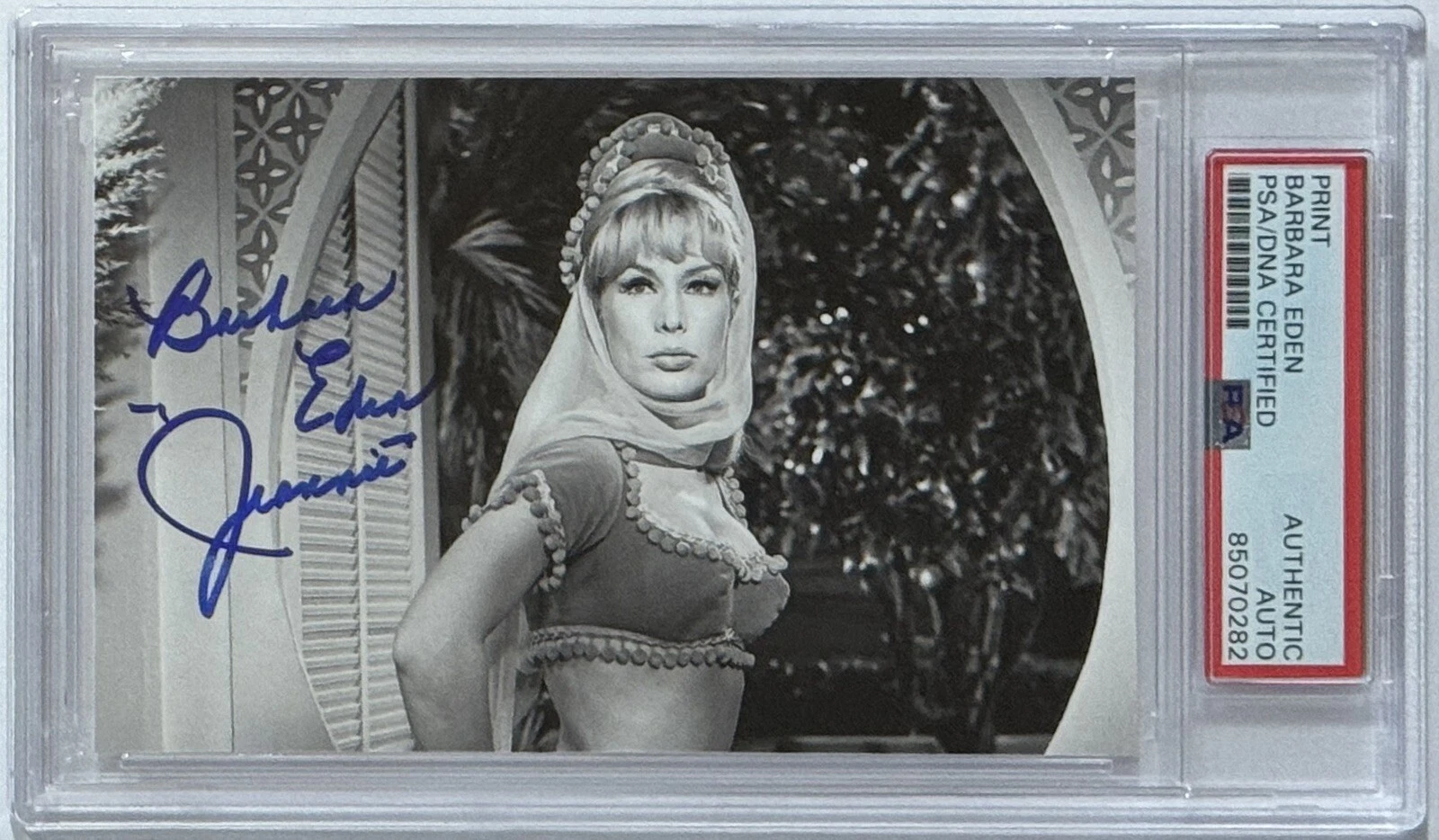 Barbara Eden SIGNED I Dream Of Jeannie Black White Sexy Hot Picture PSA DNA COA