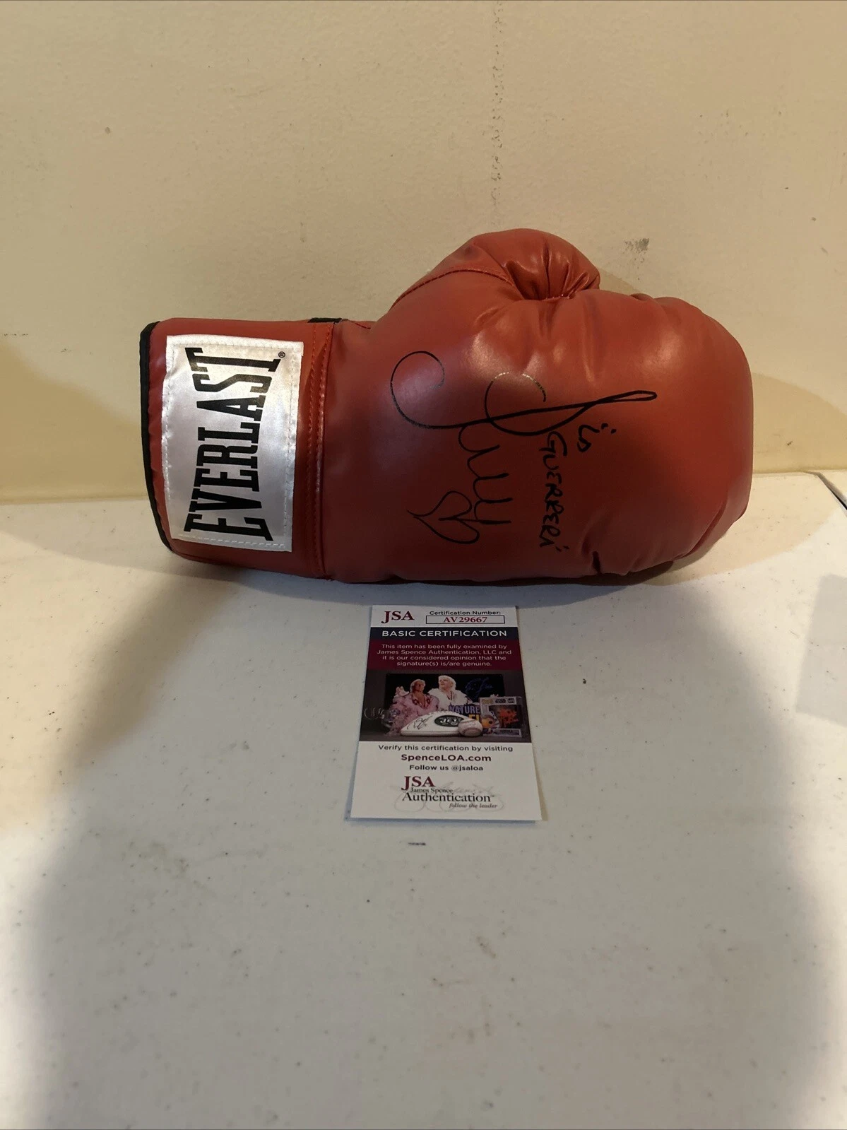 ANA MARIA TORRES SIGNED AUTOGRAPH EVERLAST BOXING GLOVE JSA COA HOF CHAMP