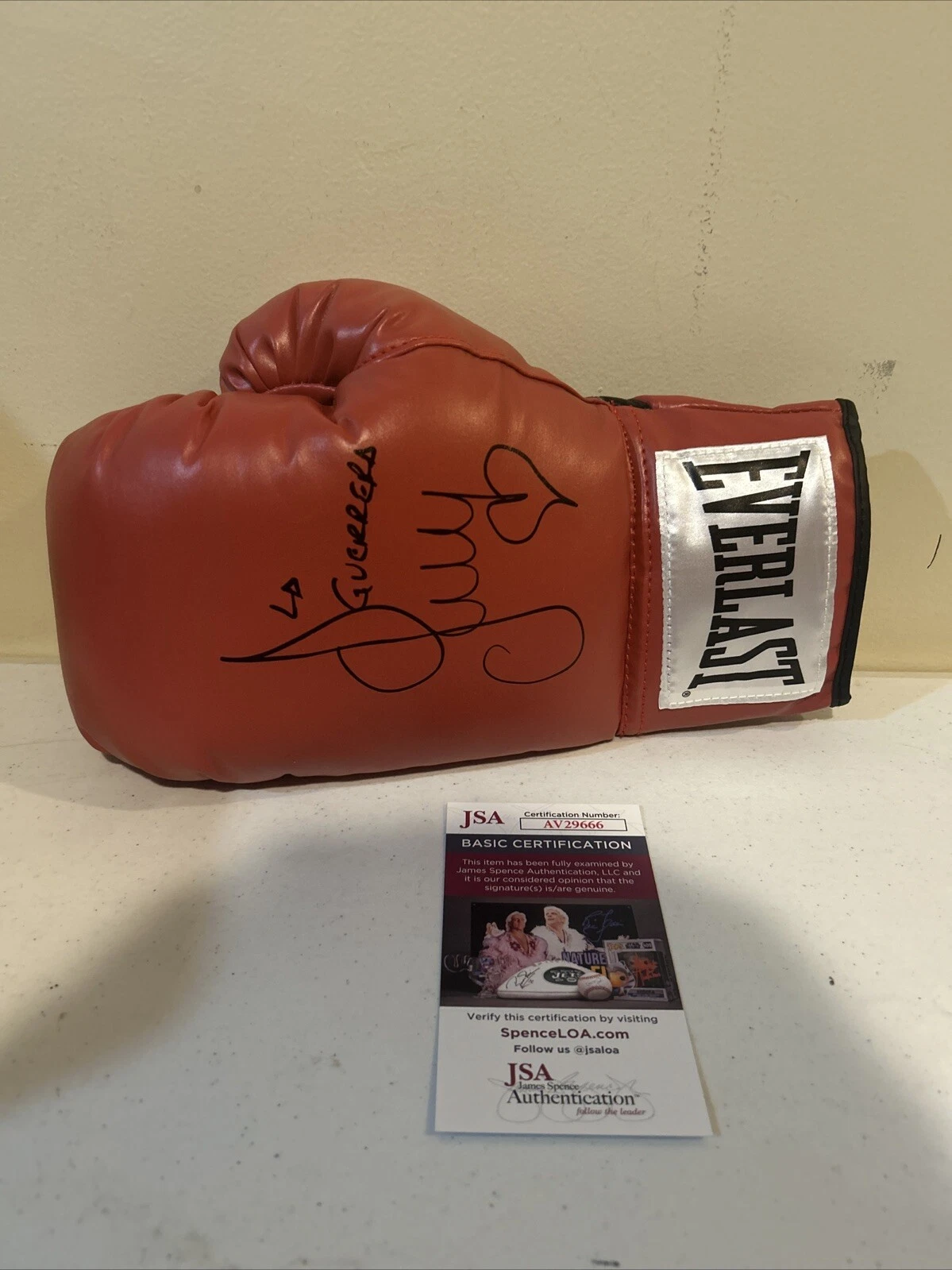 ANA MARIA TORRES SIGNED AUTOGRAPH EVERLAST BOXING GLOVE JSA COA HOF CHAMP