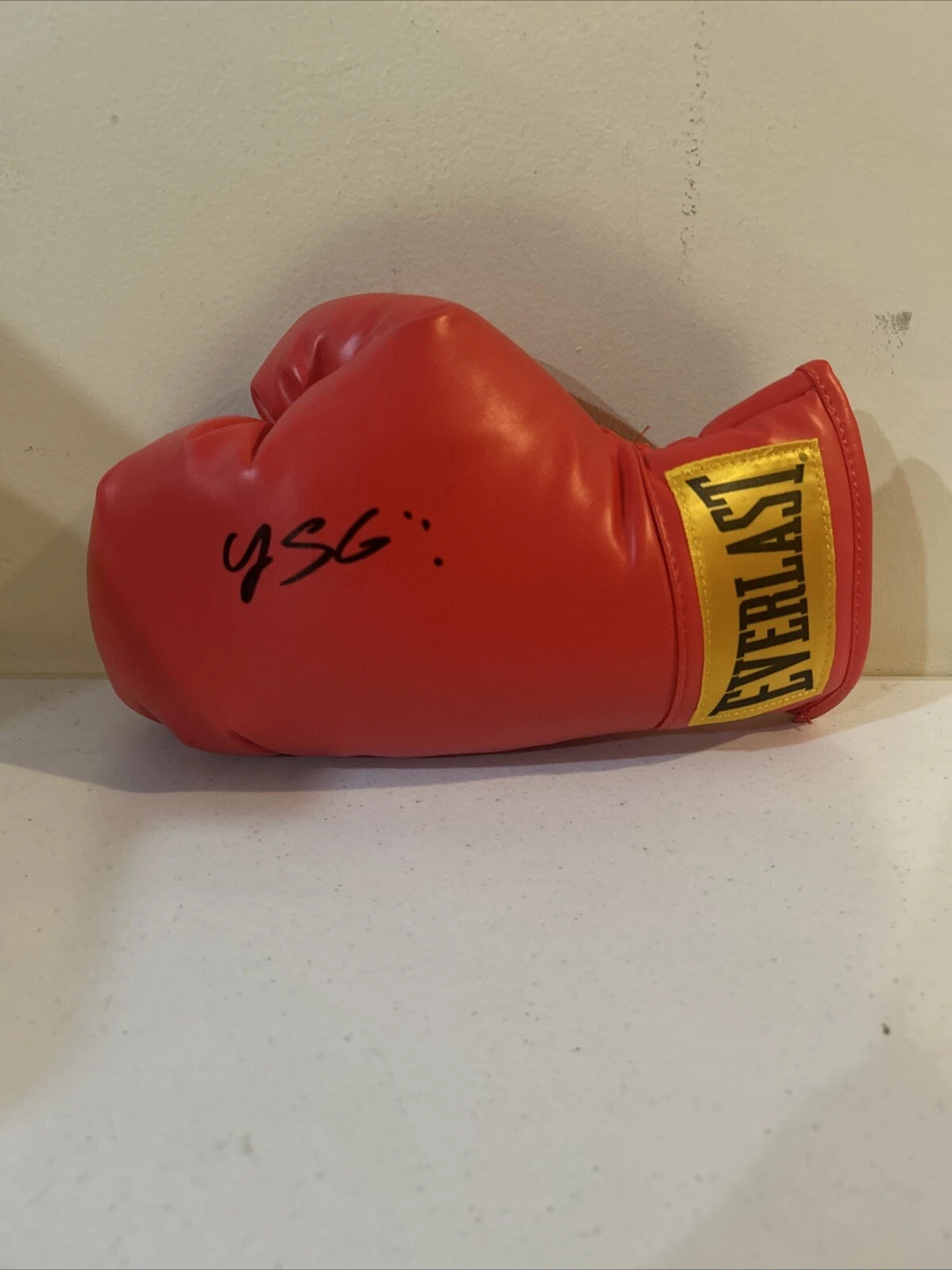 YAN SANTANA BOXING STAR SIGNED AUTOGRAPH EVERLAST BOXING GLOVE COA PUERTO RICO