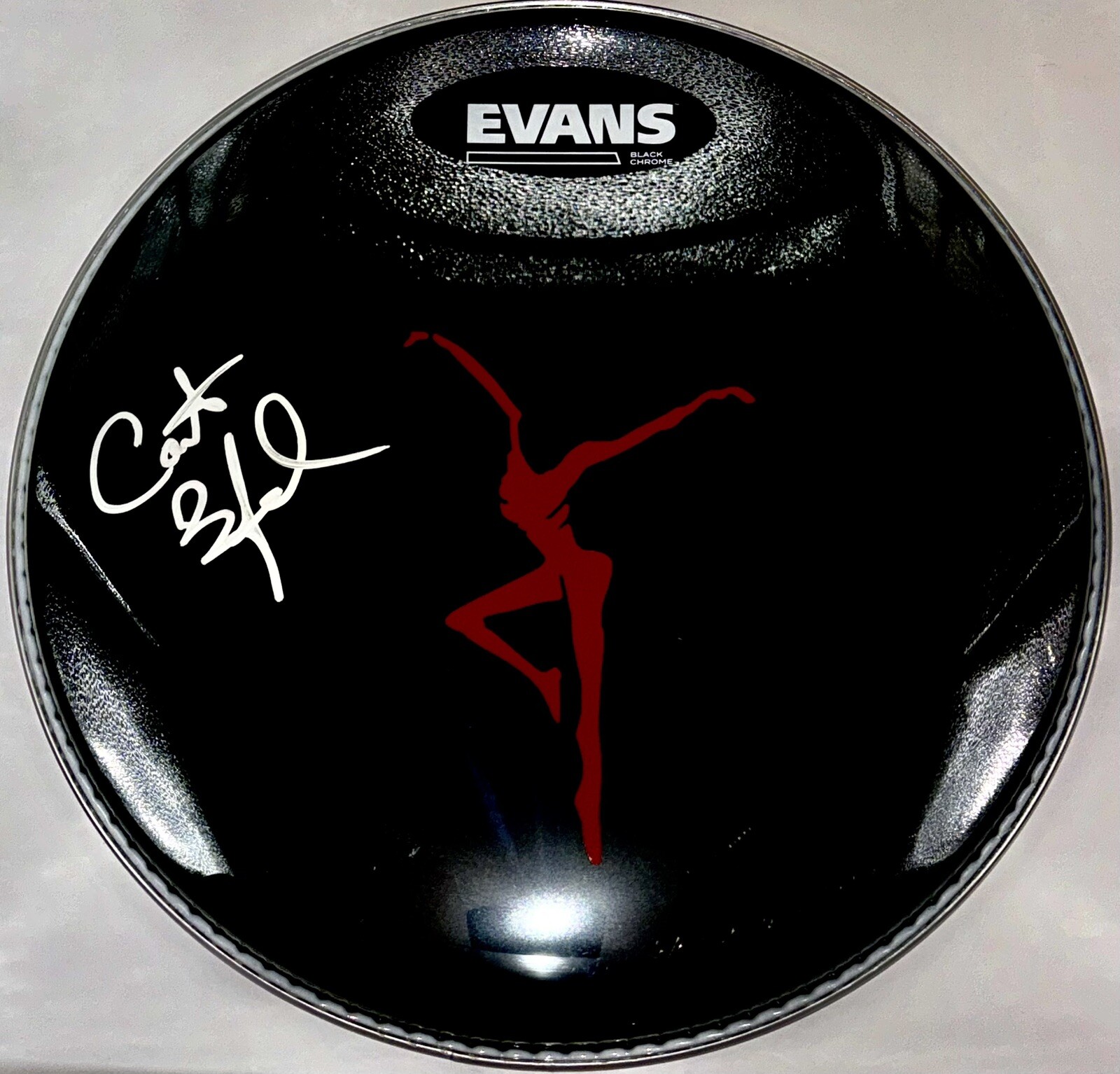 Carter Beauford Signed Autographed Dave Matthews Band 12” Inch Drumhead JSA COA