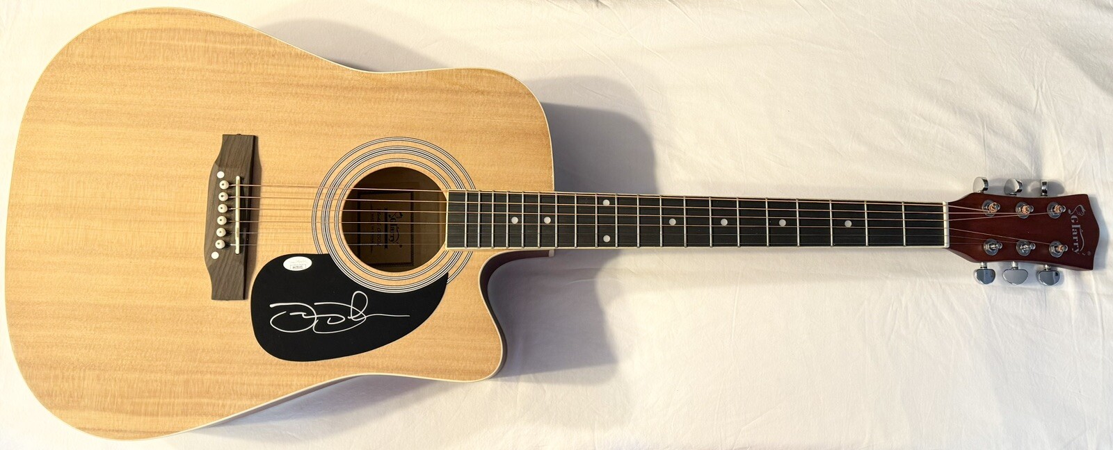 Jamey Johnson Signed Autographed Full Size 41” Inch Guitar JSA COA In Color