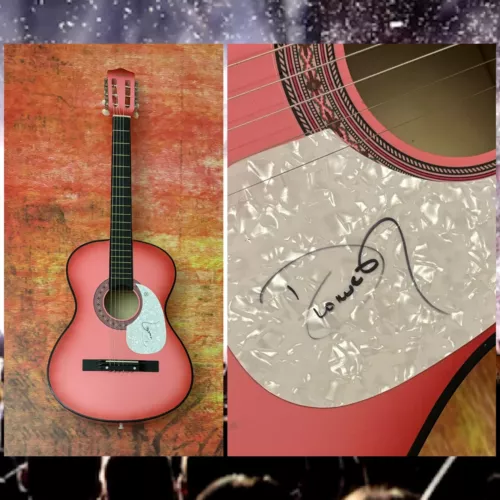 GFA THAT’S WHAT FIENDS ARE FOR * DIONNE WARWICK * SIGNED ACOUSTIC GUITAR D5 COA COLLECTIBLE MEMORABILIA