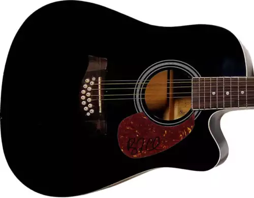 RYAN CABRERA AUTOGRAPHED 12-STRING ACOUSTIC GUITAR COLLECTIBLE MEMORABILIA