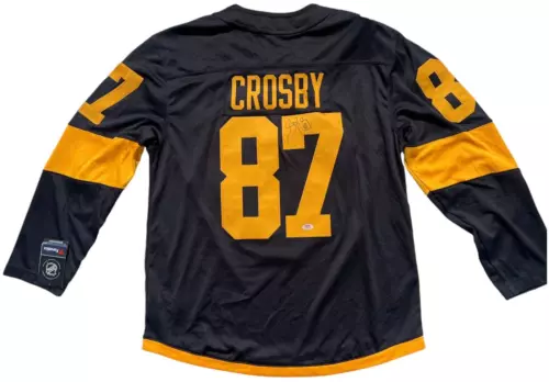 Sidney crosby stadium series jersey online