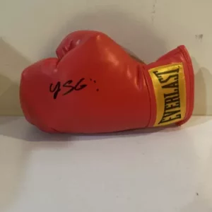 YAN SANTANA BOXING STAR SIGNED AUTOGRAPH EVERLAST BOXING GLOVE COA PUERTO RICO
