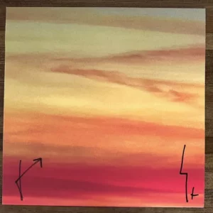 30 SECONDS TO MARS ITS THE END WORLD BEAUTIFUL DAY SIGNED AUTOGRAPH VINYL LP #1