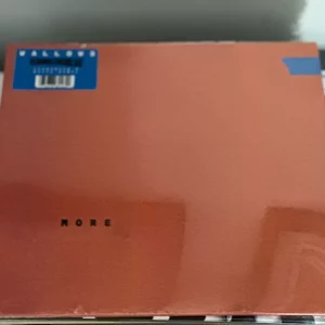 WALLOWS - MORE EP VINYL RSD 2025 RECORD STORE DAY