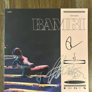 ‘Hippo Campus’ Indie Band Signed Vinyl Album ‘Bambi’ Jake Luppen & Nathan