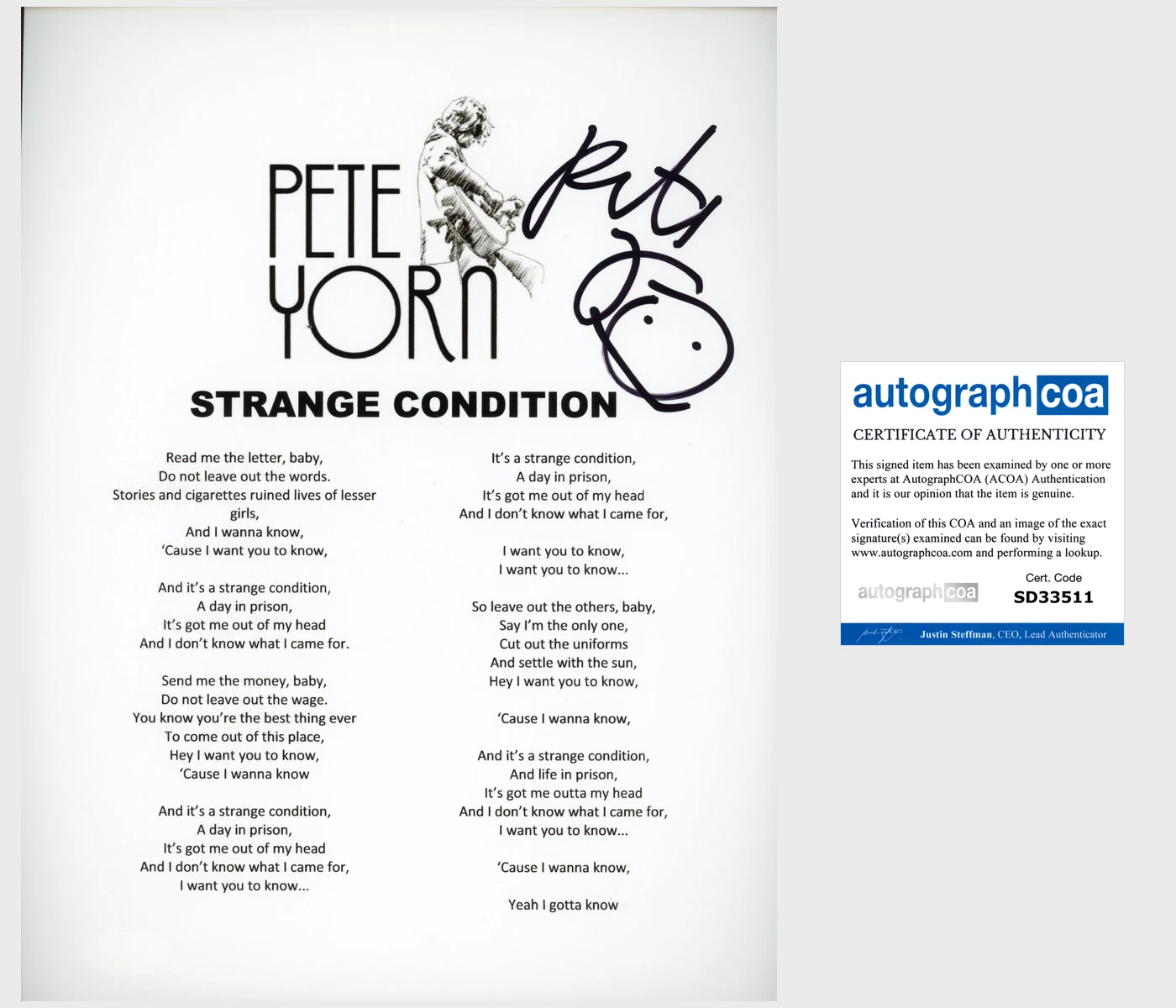 PETE YORN SIGNED AUTOGRAPH STRANGE CONDITION LYRIC SHEET w/PROOF & ACOA COA