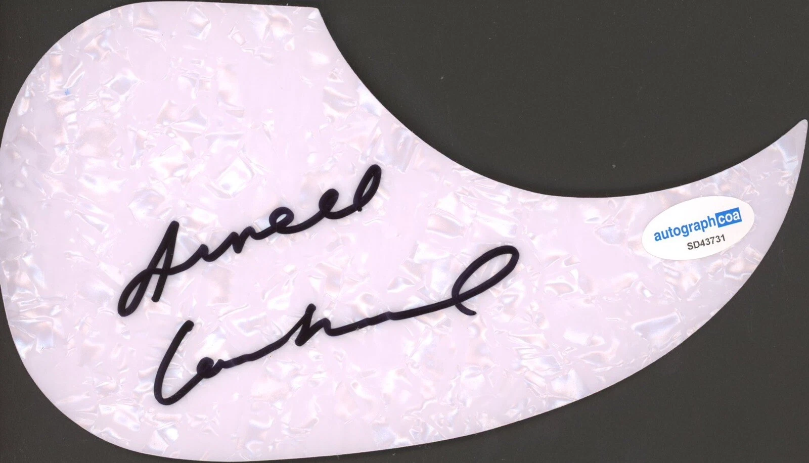ARNELL CARMICHAEL RAYDIO SIGNED AUTOGRAPH ACOUSTIC GUITAR PICKGUARD ACOA
