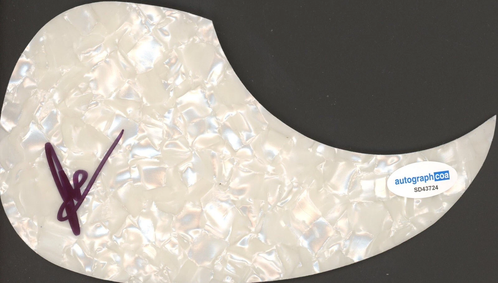 JOEY FATONE SIGNED AUTOGRAPH ACOUSTIC GUITAR PICKGUARD ACOA NSYNC