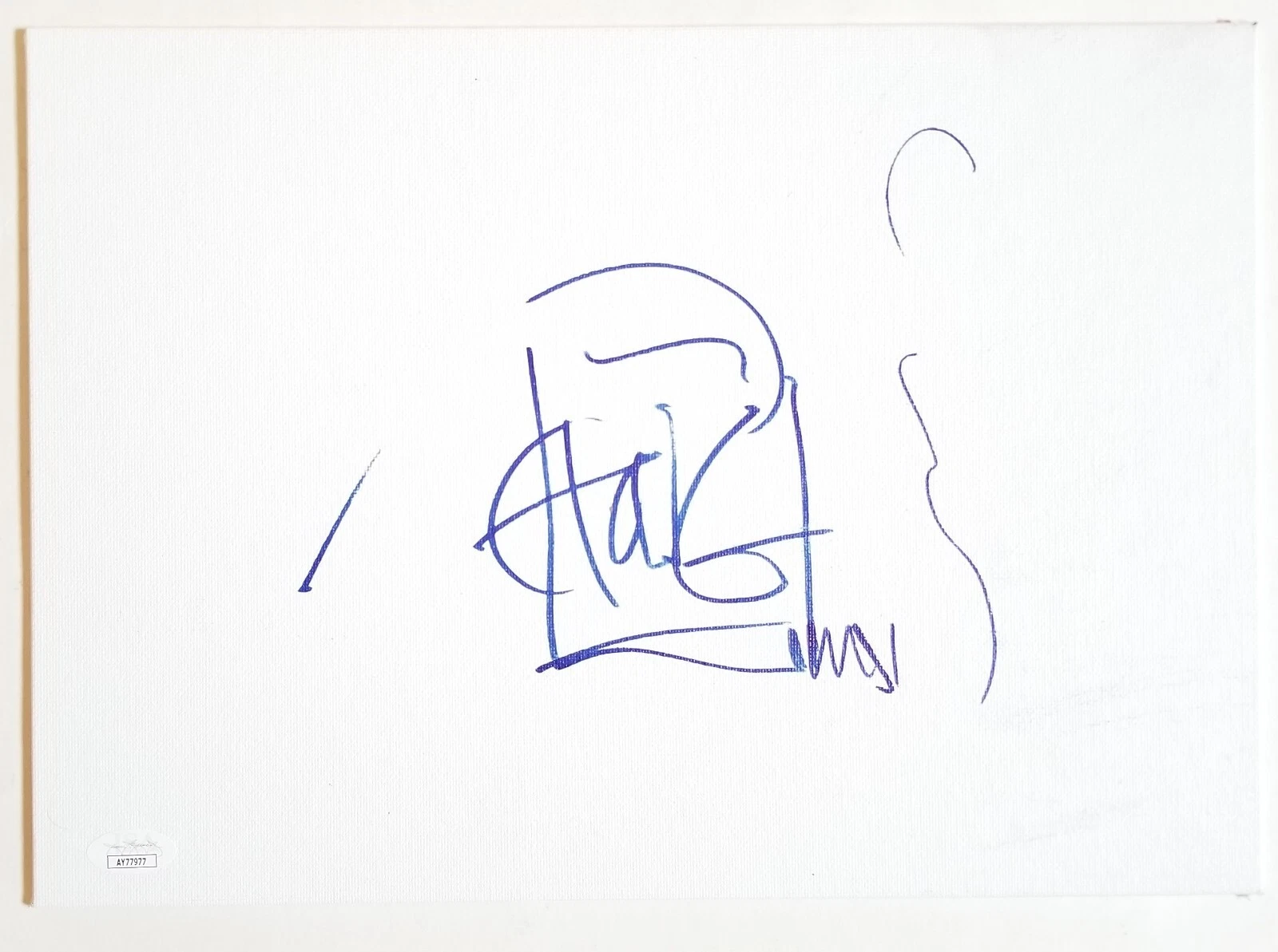 TOMMY CHONG REAL HAND SIGNED BLUNT ART CANVAS JSA COA CHEECH & CHONG UP IN SMOKE COLLECTIBLE MEMORABILIA