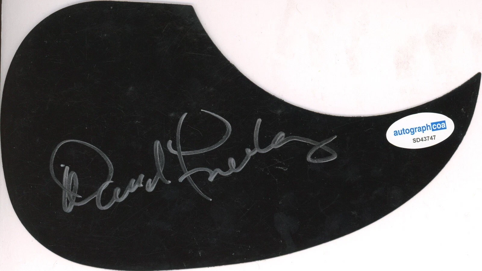 DAVID FREIBERG JEFFERSON AIRPLANE STARSHIP SIGNED AUTOGRAPH ACOUSTIC GUARD ACOA