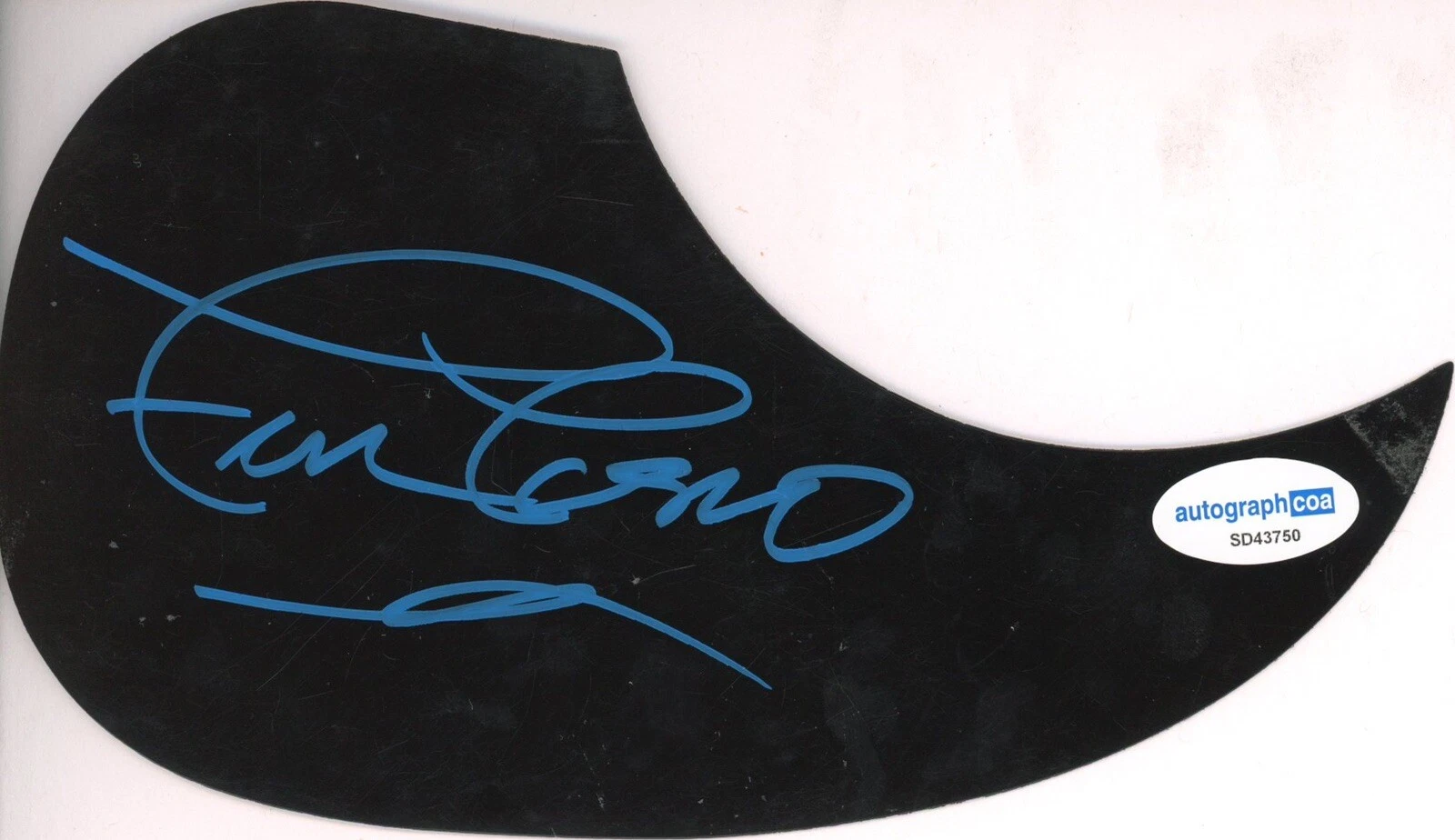 FRAN COSMO SIGNED AUTOGRAPH ACOUSTIC PICKGUARD ACOA BOSTON