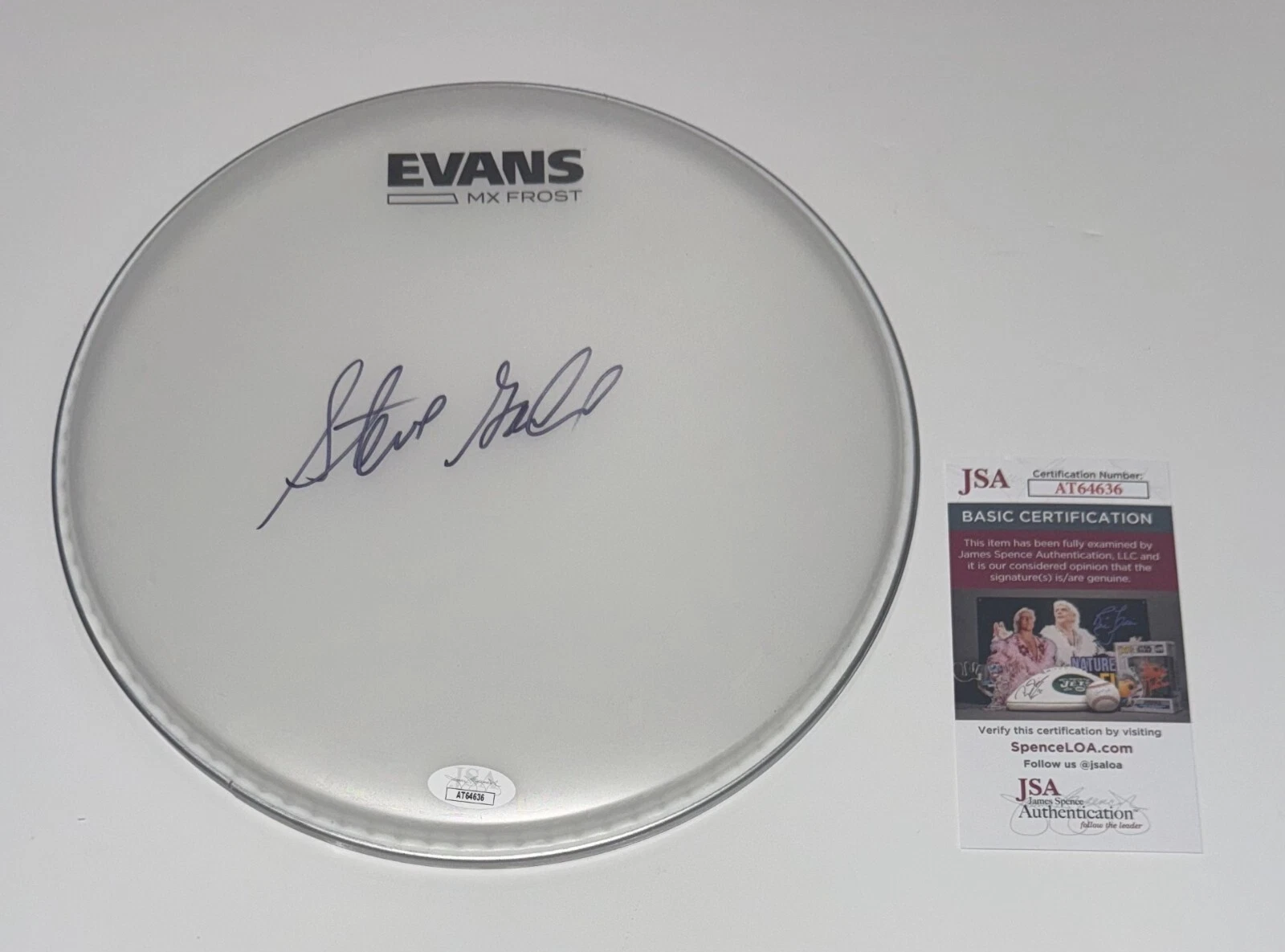 STEVE GADD SIGNED 10 INCH COATED DRUMHEAD JAMES TAYLOR LEGEND JSA COA COLLECTIBLE MEMORABILIA