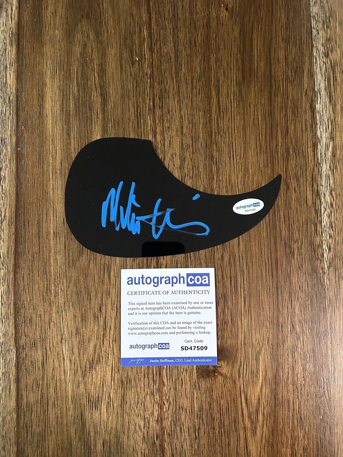 Melissa Etheridge ‘Come To My Window’ Signed Acoustic Guitar Pickguard ACOA