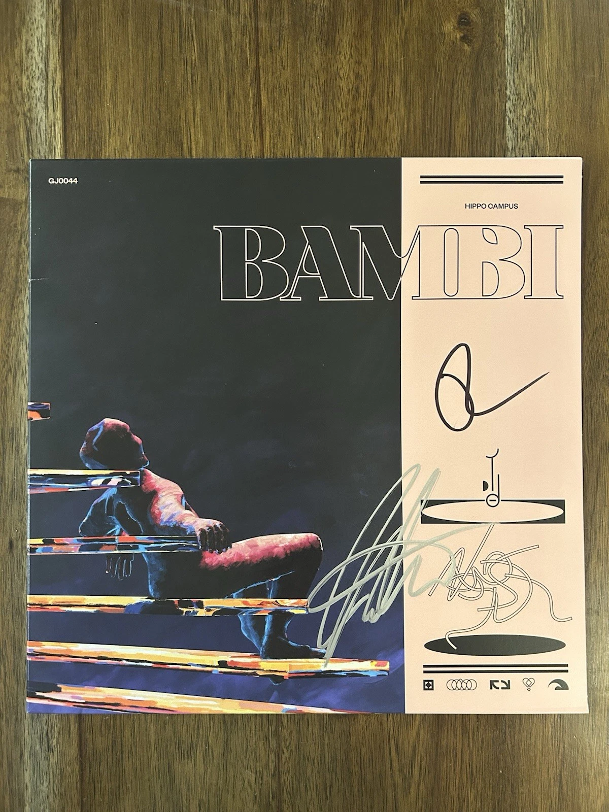 ‘HIPPO CAMPUS’ INDIE BAND SIGNED VINYL ALBUM ‘BAMBI’ JAKE LUPPEN & NATHAN COLLECTIBLE MEMORABILIA