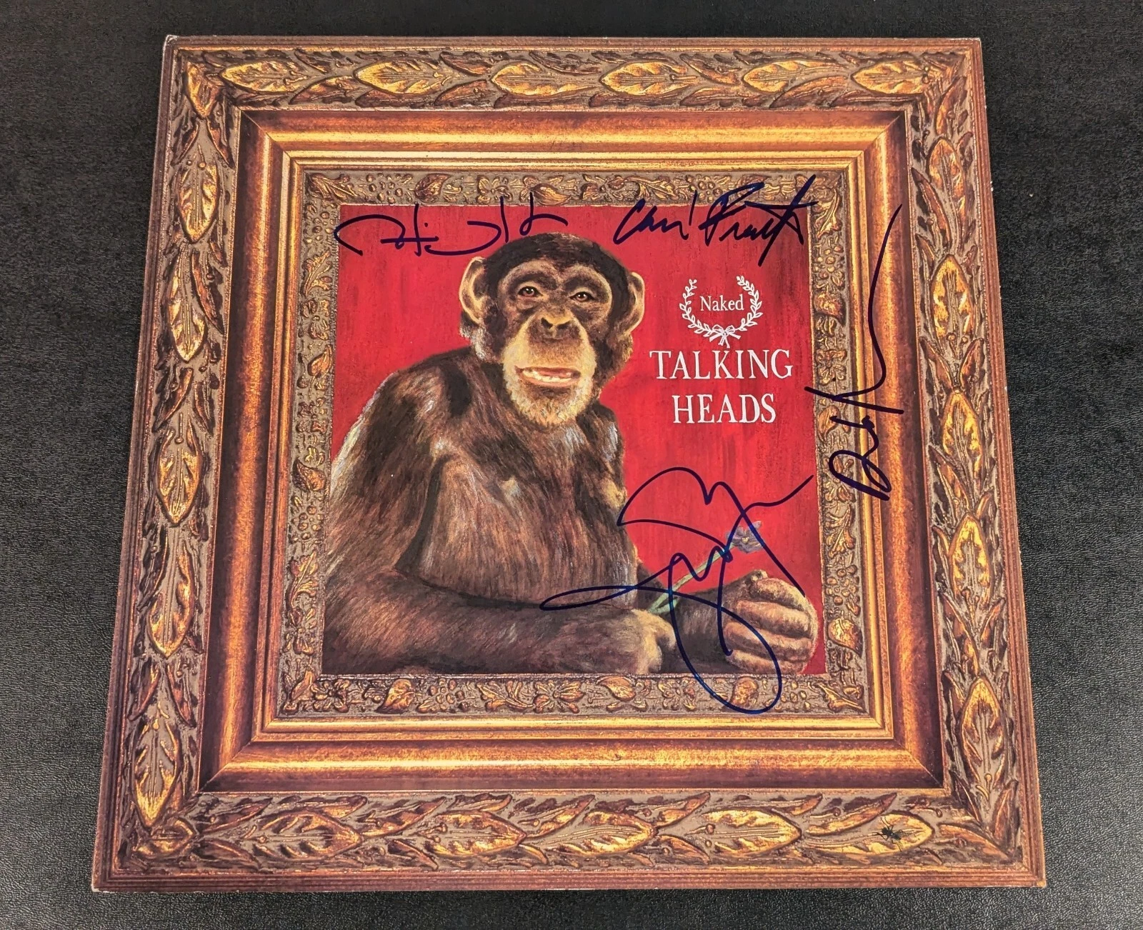 TALKING HEADS signed autographed 