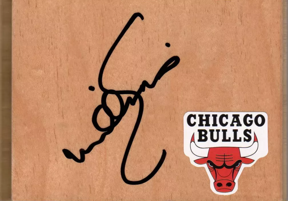 Chicago Bulls Scott Williams Signed FloorBoard COA