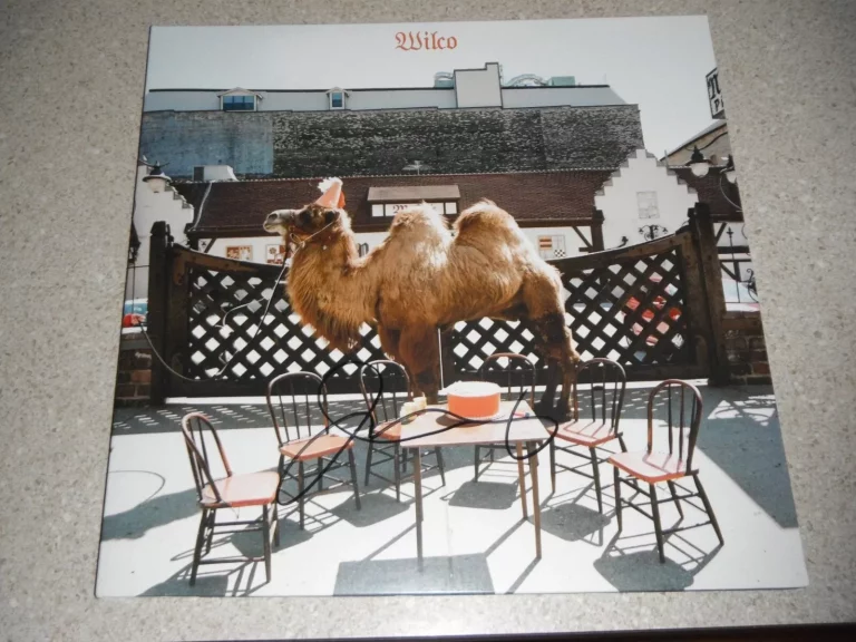 WILCO JEFF TWEEDY SIGNED * THE ALBUM * VINYL ALBUM COLLECTIBLE MEMORABILIA
