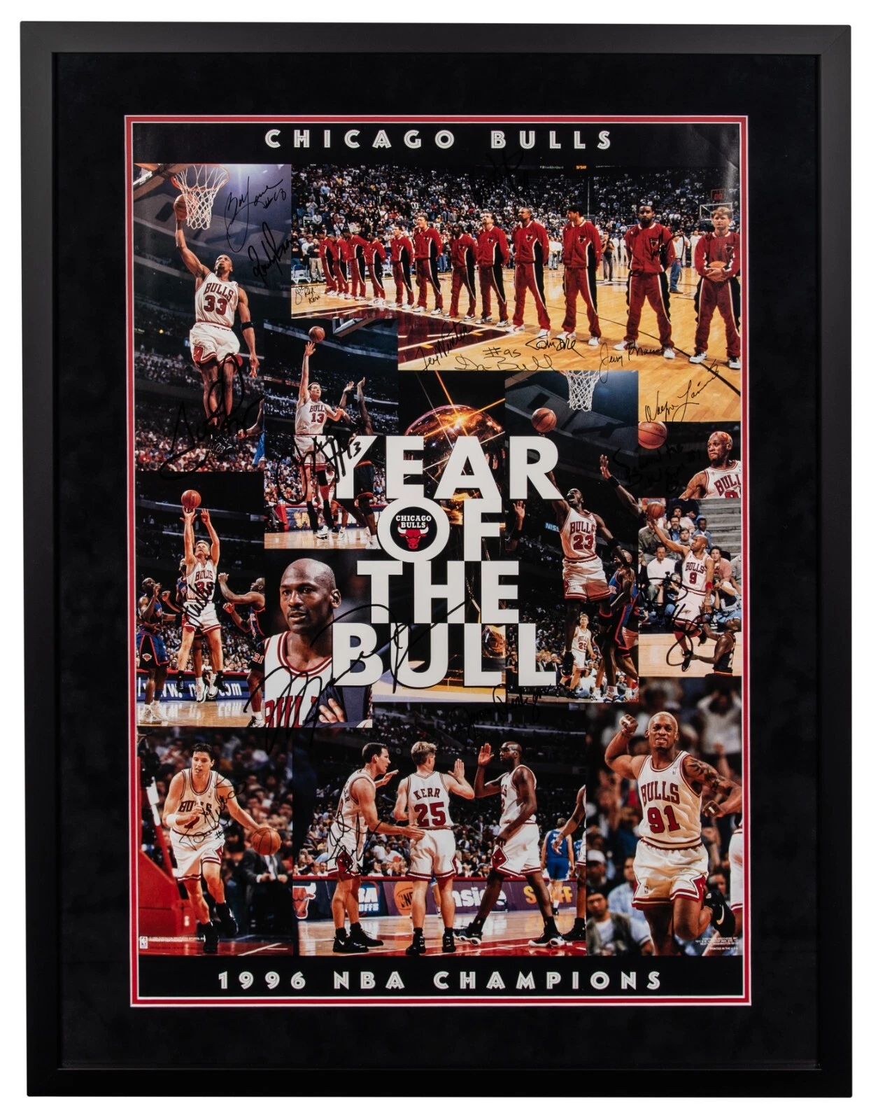 Michael Jordan 1995-96 Chicago Bulls 70-10 Season Team Signed 32x42 Photo BAS