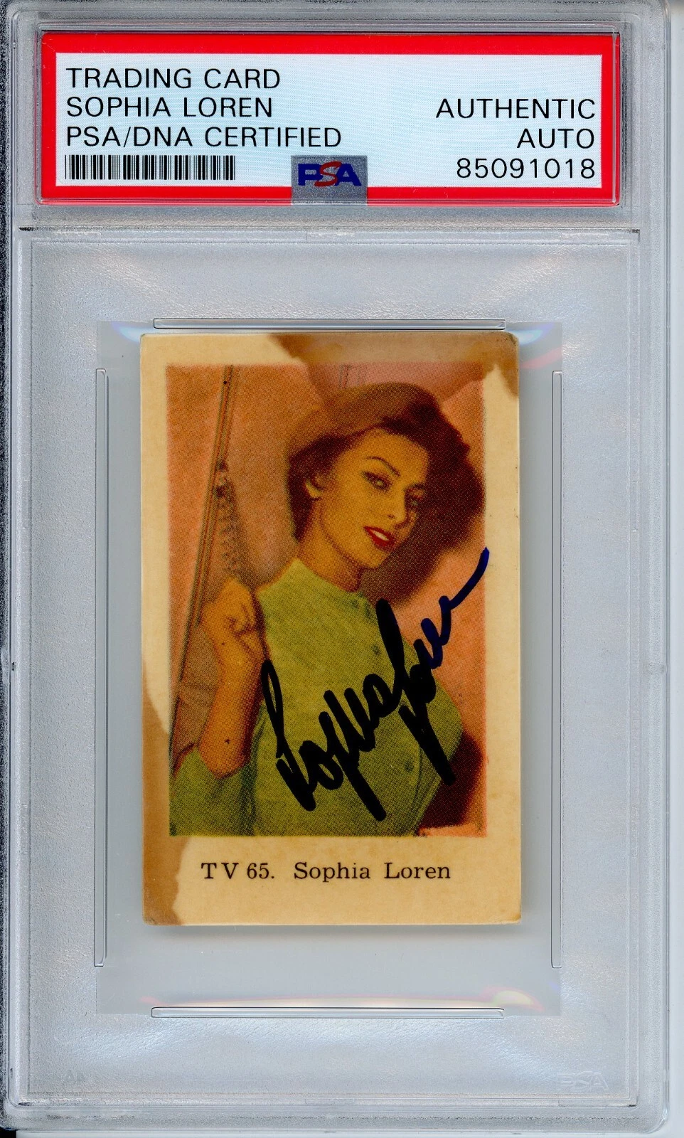 VINTAGE DUTCH TRADING CARD SOPHIA LOREN AUTOGRAPH PSA DNA COA SIGNED SUPER MODEL COLLECTIBLE MEMORABILIA