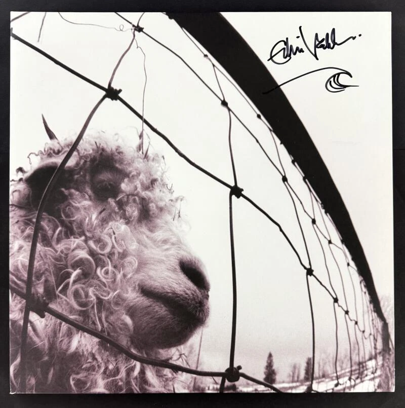 Eddie Vedder Pearl Jam Signed Autograph Album Vinyl Record - Wave Art Sketch BAS