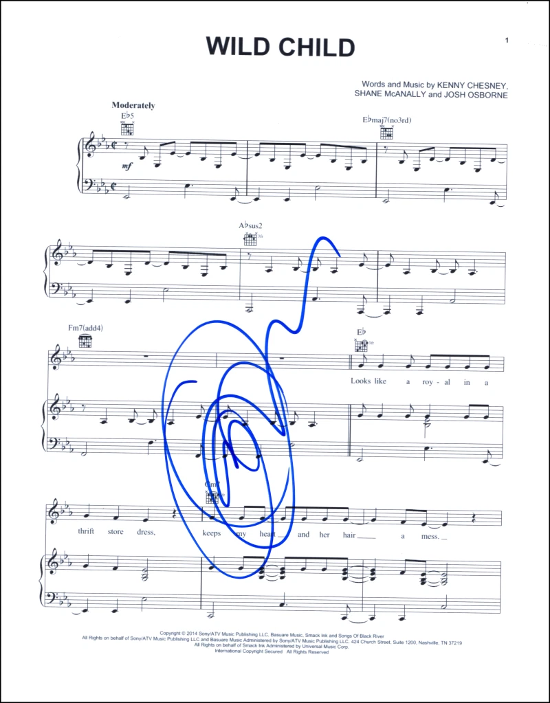 Grace Potter Signed Autograph Wild Child Sheet Music w/ Kenny Chesnsey
