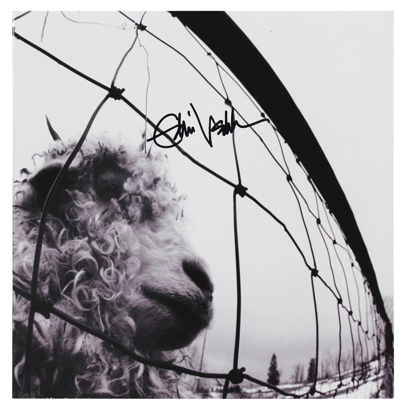 Eddie Vedder Pearl Jam Authentic Signed Vs. Album Cover Auto 10! BAS #AC94818