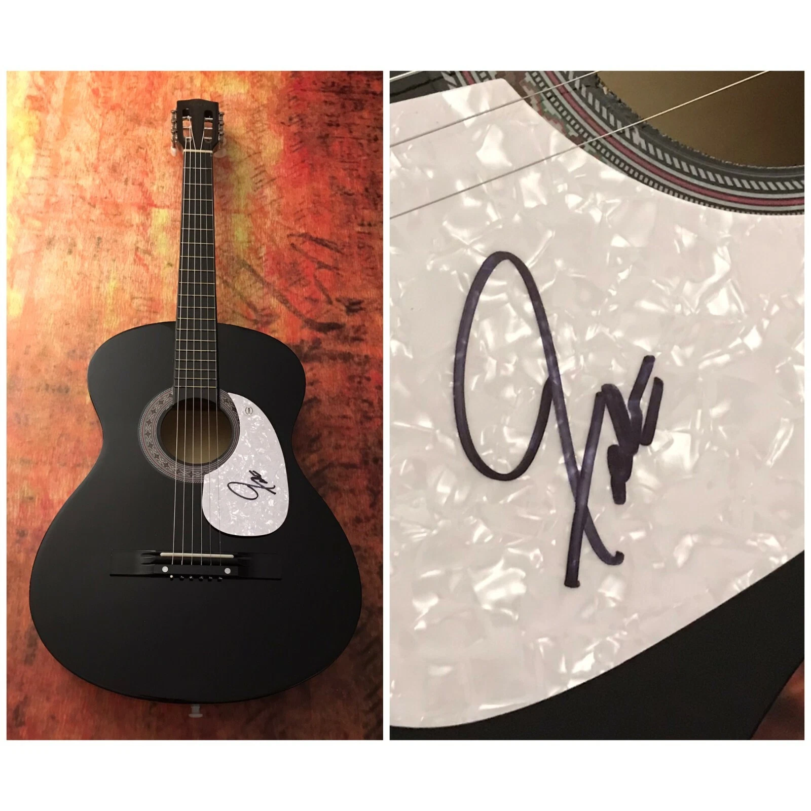 GFA Turn Me Loose Hold that Tiger * FABIAN FORTE * Signed Acoustic Guitar F3 COA