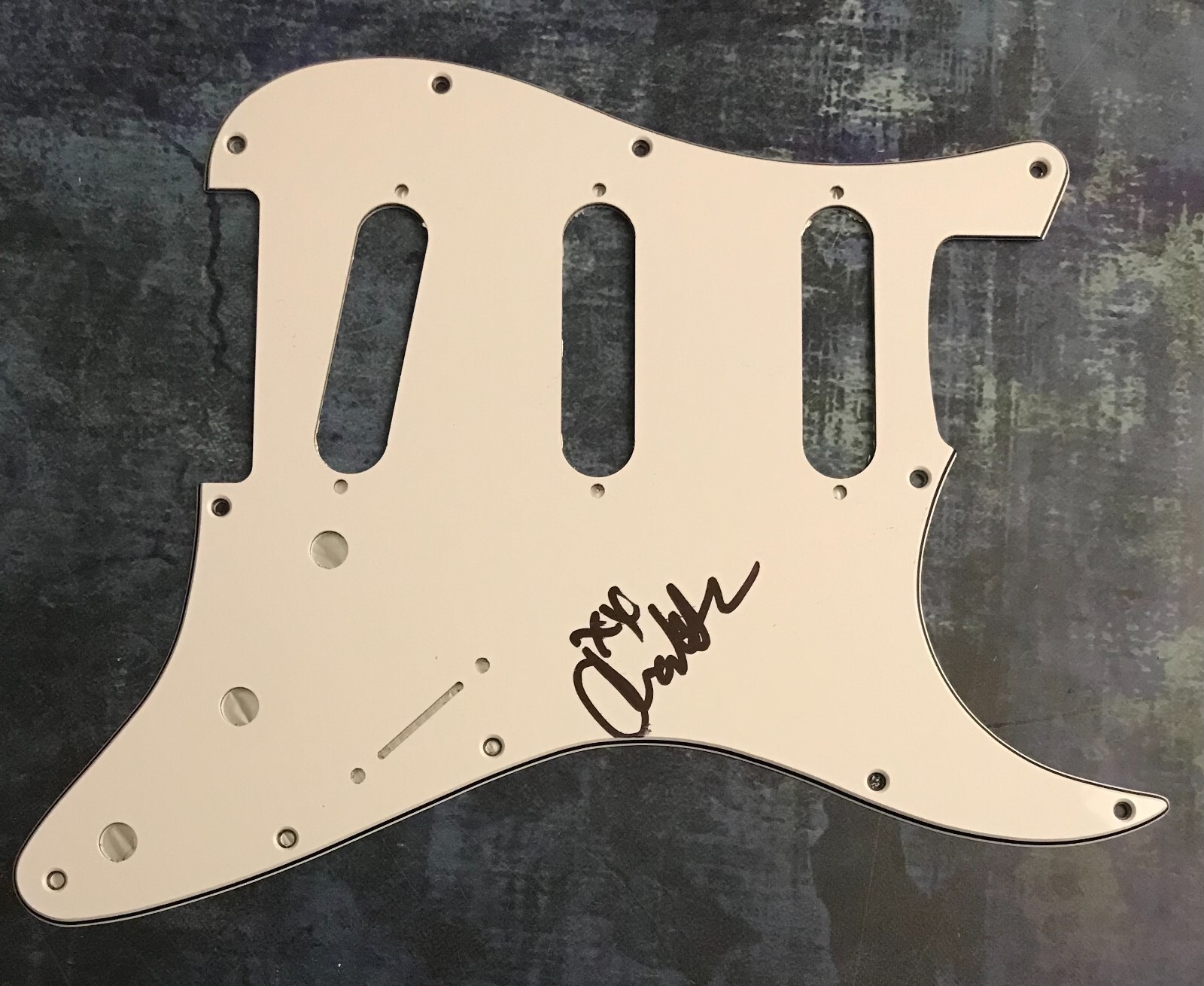 GFA Love and Other Lies Star * CHARLOTTE SANDS * Signed Electric Pickguard COA