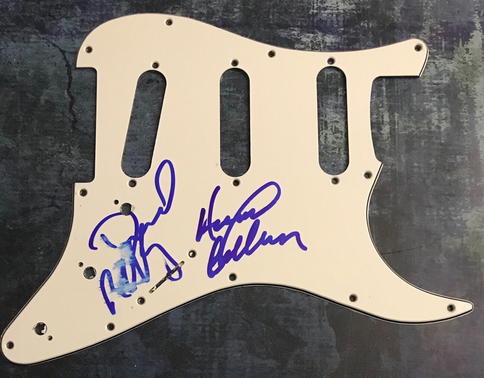 GFA David & Howard * THE BELLAMY BROTHERS * Signed Electric Pickguard PROOF COA