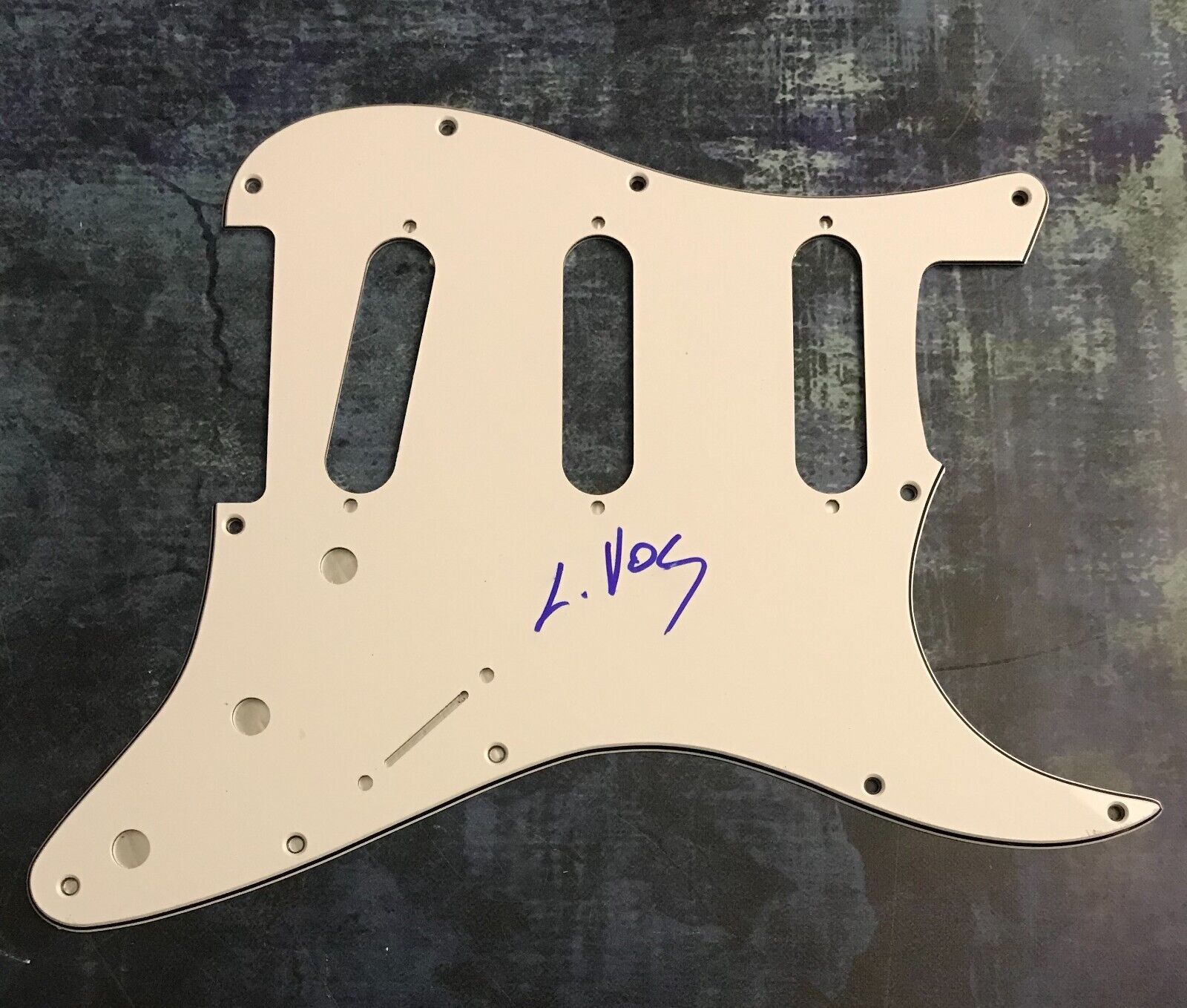 GFA The Record Company  * CHRIS VOS *  Signed Electric Pickguard PROOF COA