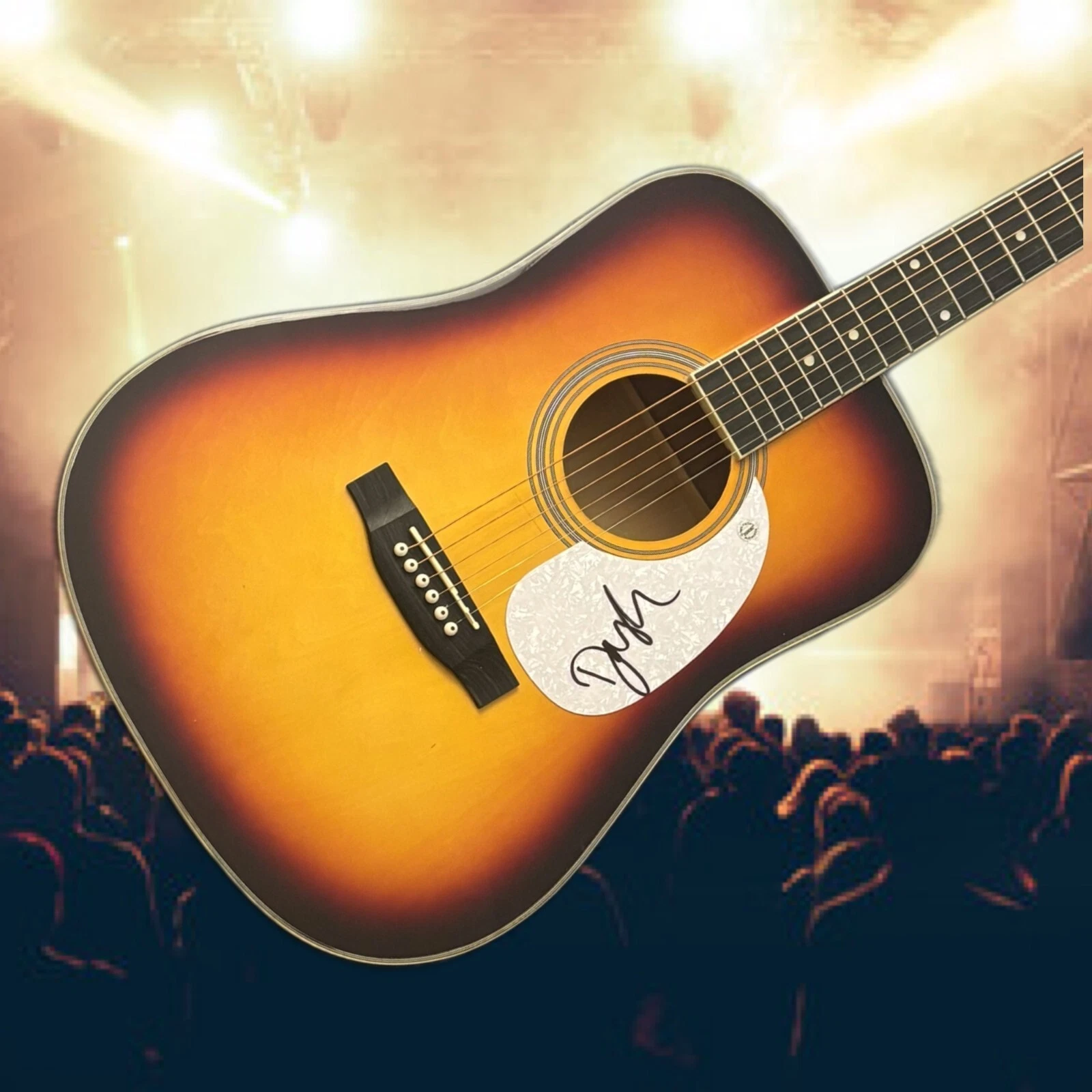 GFA Austin & Not At this Party Star  * DASHA *  Signed 41