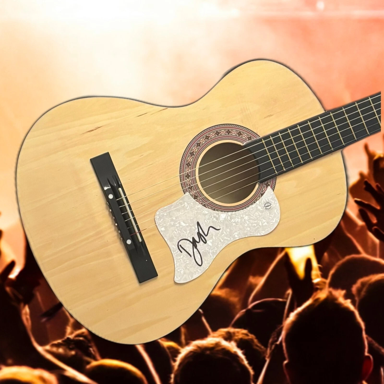 GFA  Austin & Not At this Party Star  * DASHA *  Signed New Acoustic Guitar COA