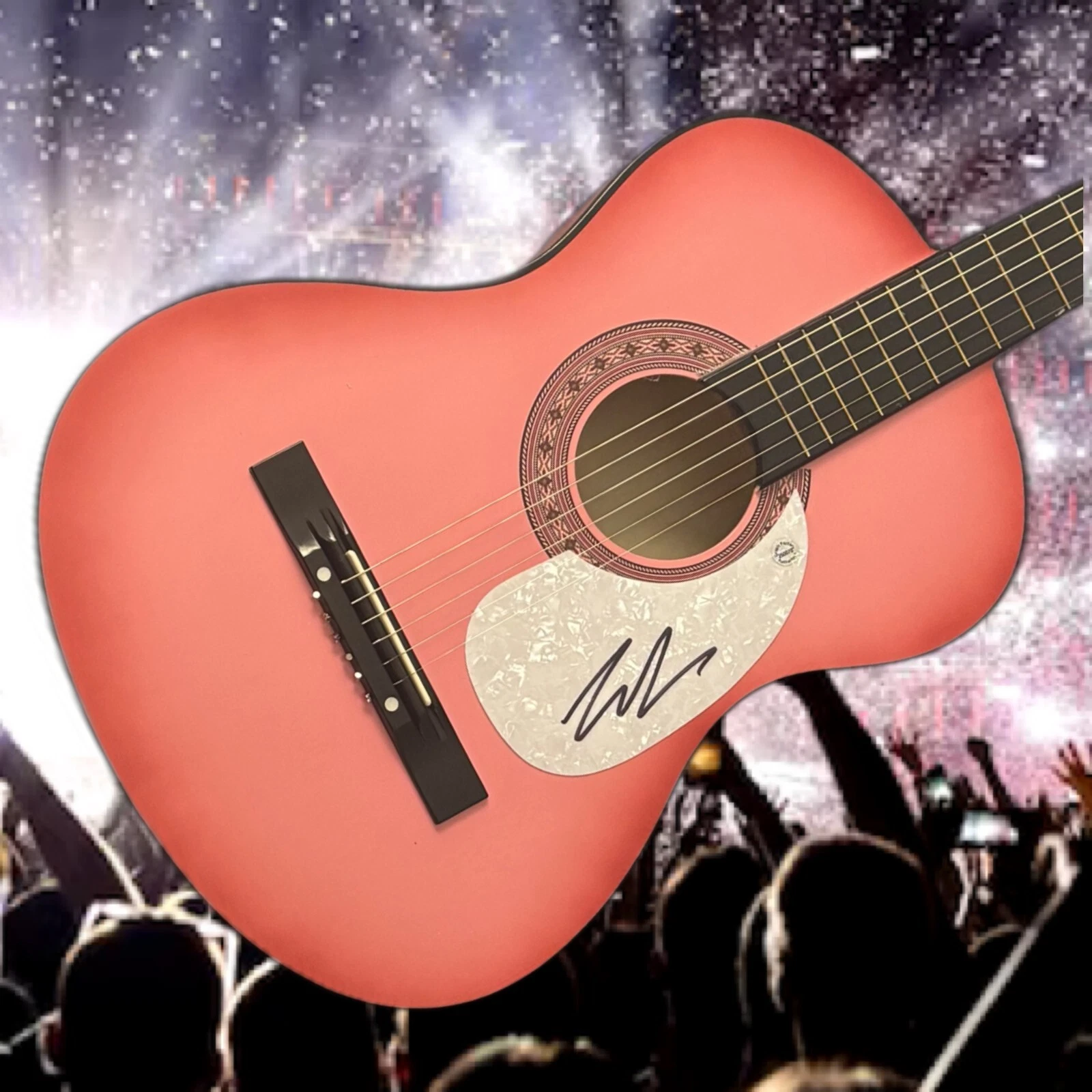 GFA Villain Country Singer  * LILY ROSE *  Signed Acoustic Guitar COA