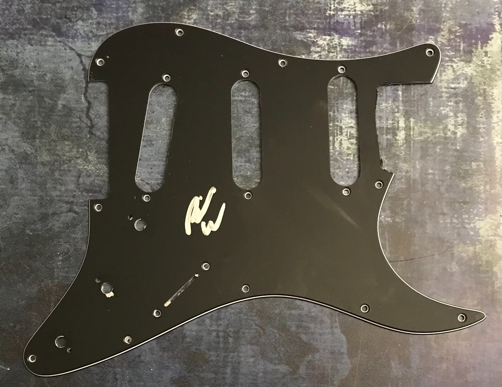 GFA Move Like This  * RIC WILSON *  Signed Electric Pickguard PROOF COA