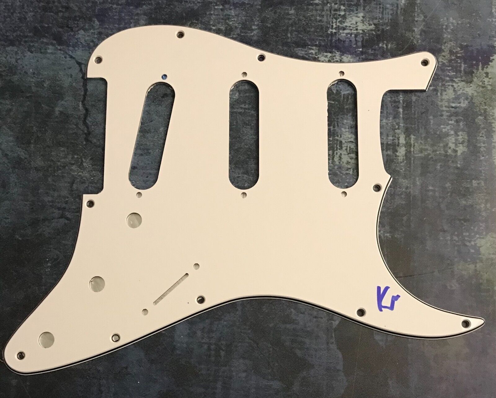 GFA Pretty Pimpin Star  * KURT VILE *  Signed Electric Pickguard PROOF COA