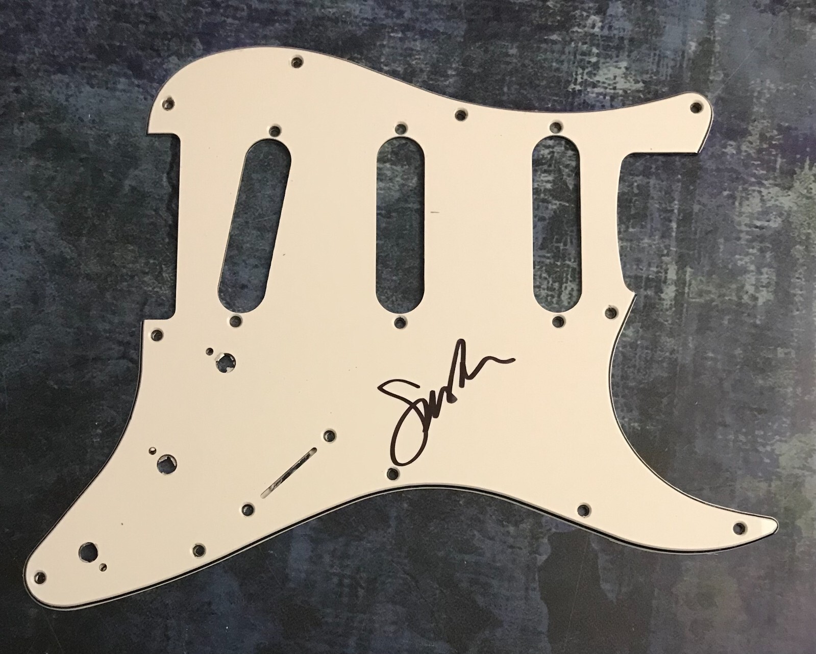 GFA  Self Portrait Star * SASHA ALEX SLOAN * Signed Electric Pickguard PROOF COA