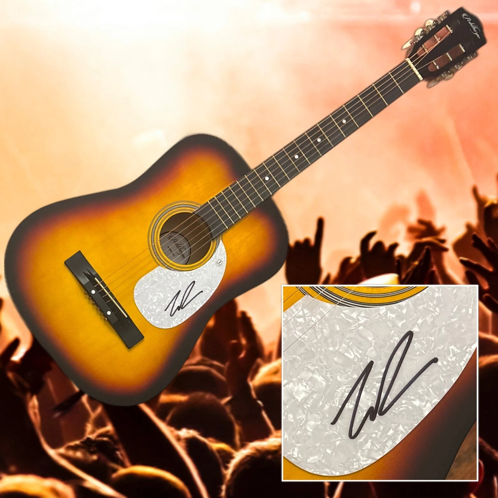 GFA Villain Country Singer  * LILY ROSE *  Signed Acoustic Guitar COA