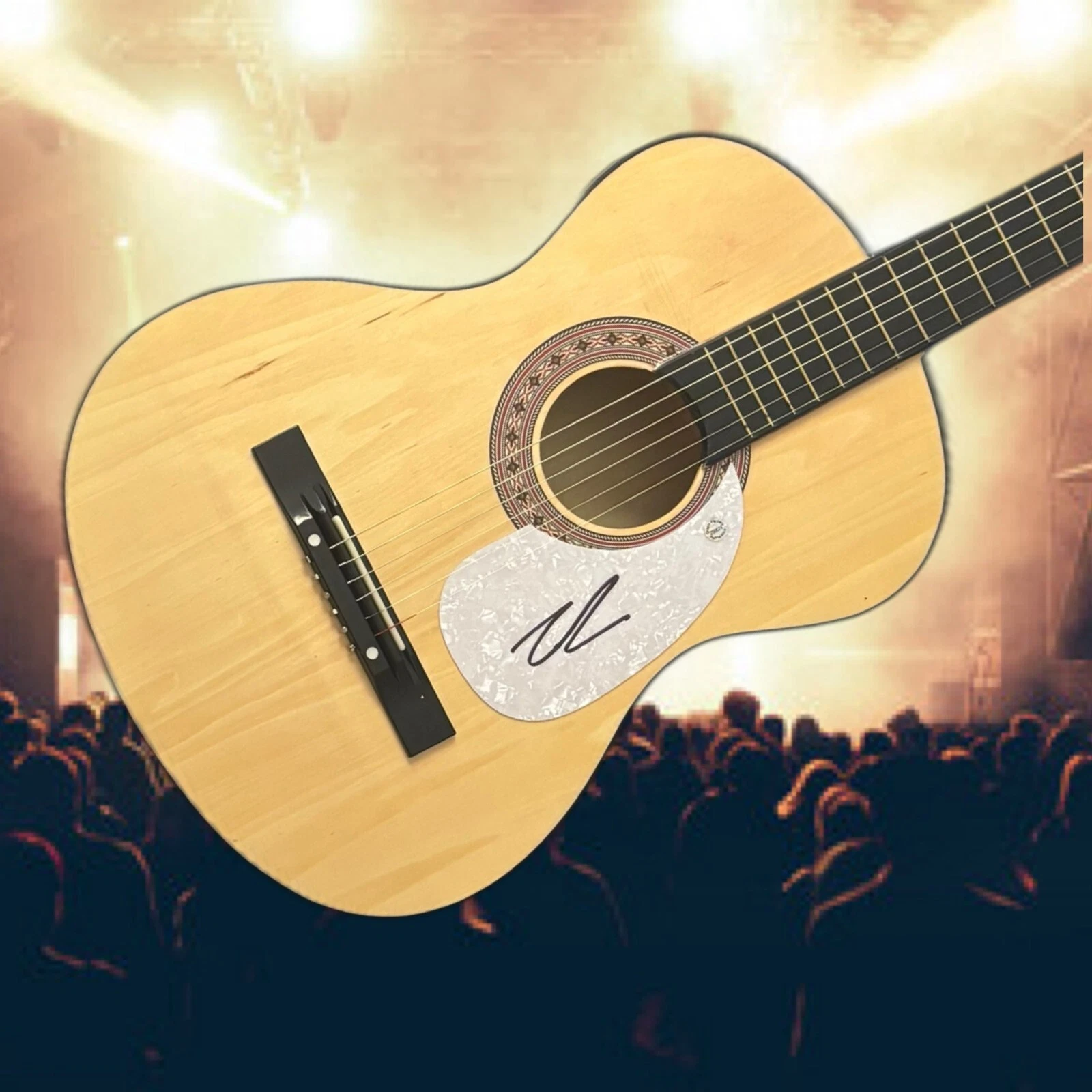 GFA Villain Country Singer  * LILY ROSE *  Signed Acoustic Guitar COA