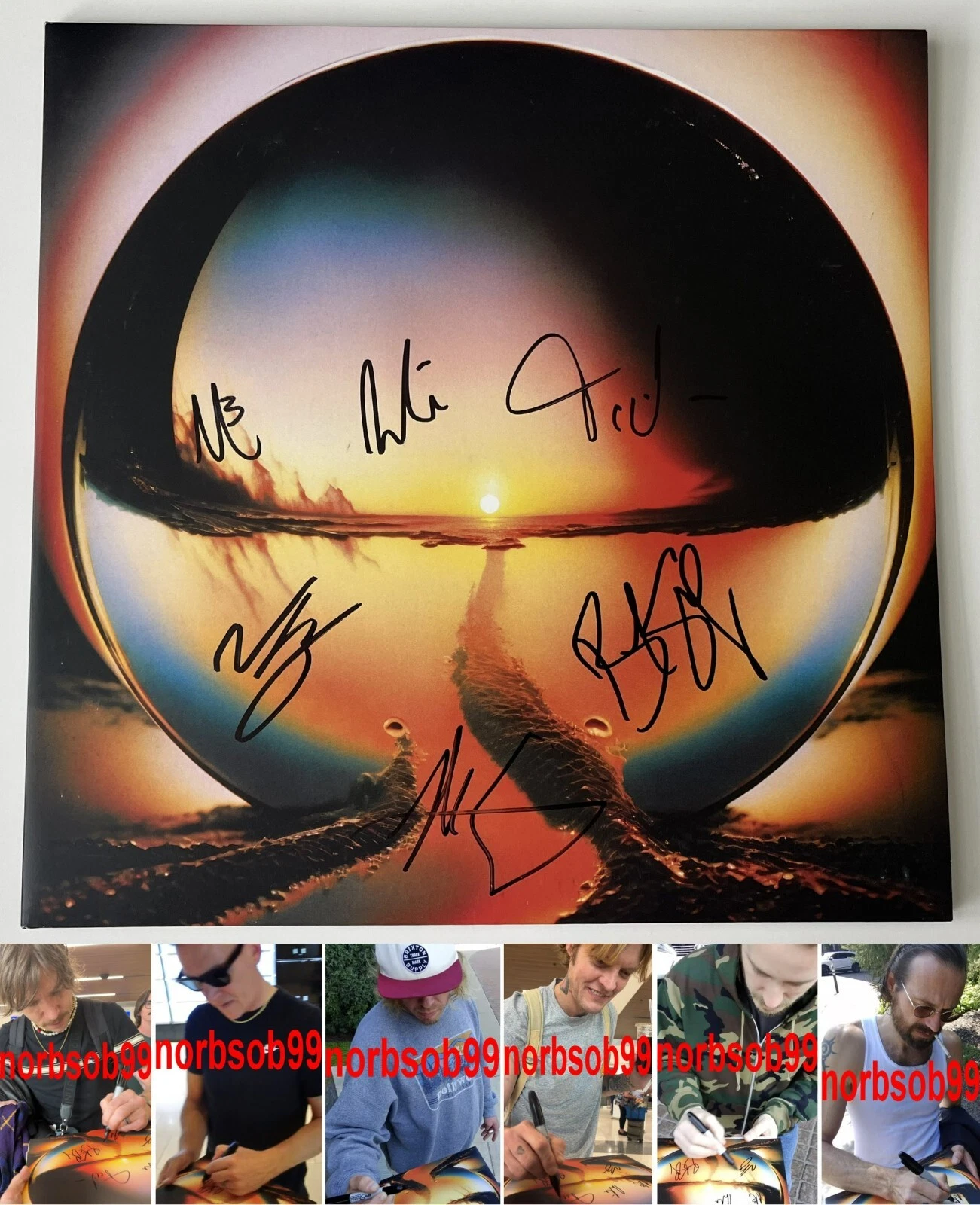 CAGE THE ELEPHANT SIGNED AUTOGRAPH NEON PILL VINYL MATT SHULTZ +5 w/EXACT PROOF