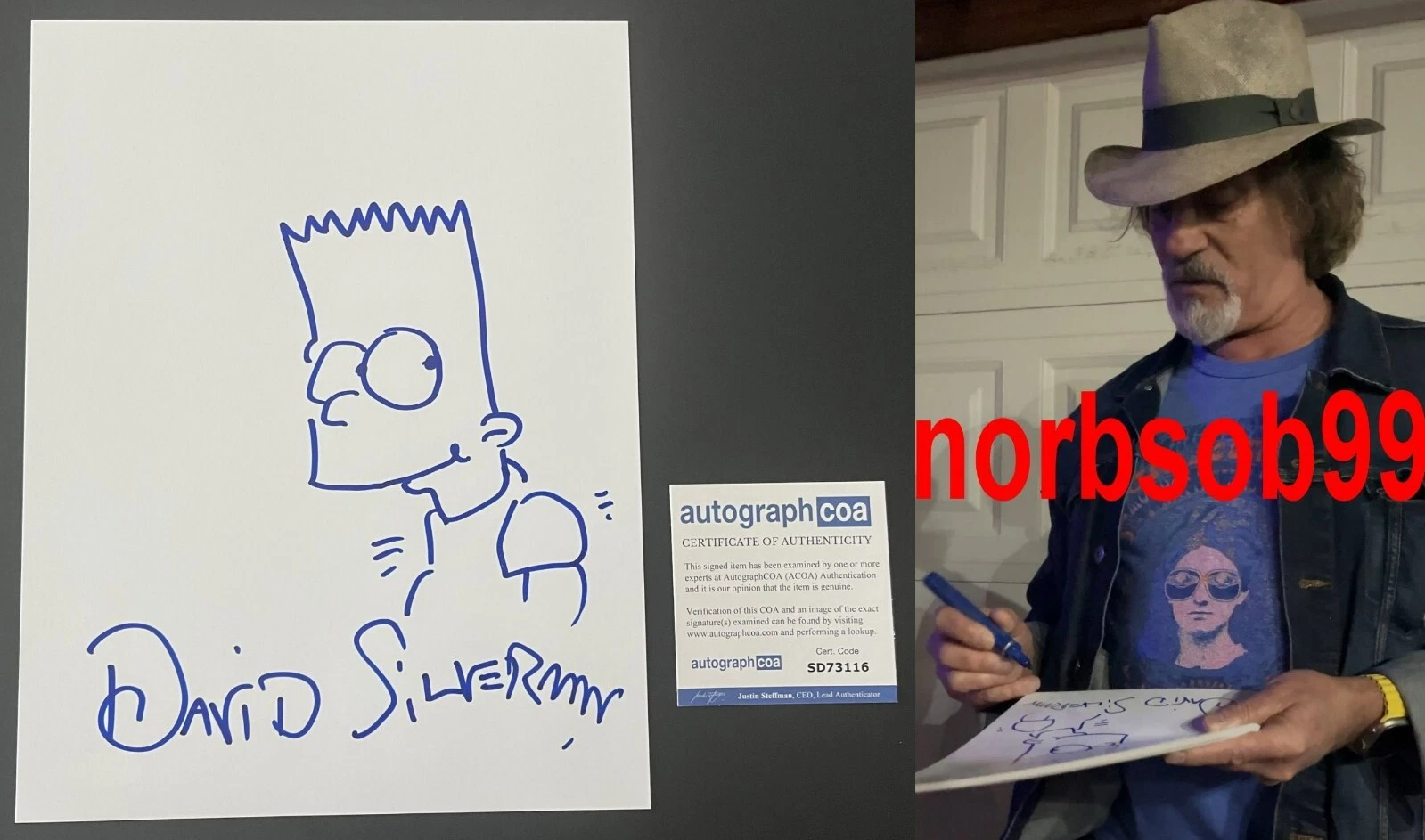 DAVID SILVERMAN SIGNED THE SIMPSONS SKETCH B w/EXACT PROOF & AUTOGRAPH COA ACOA