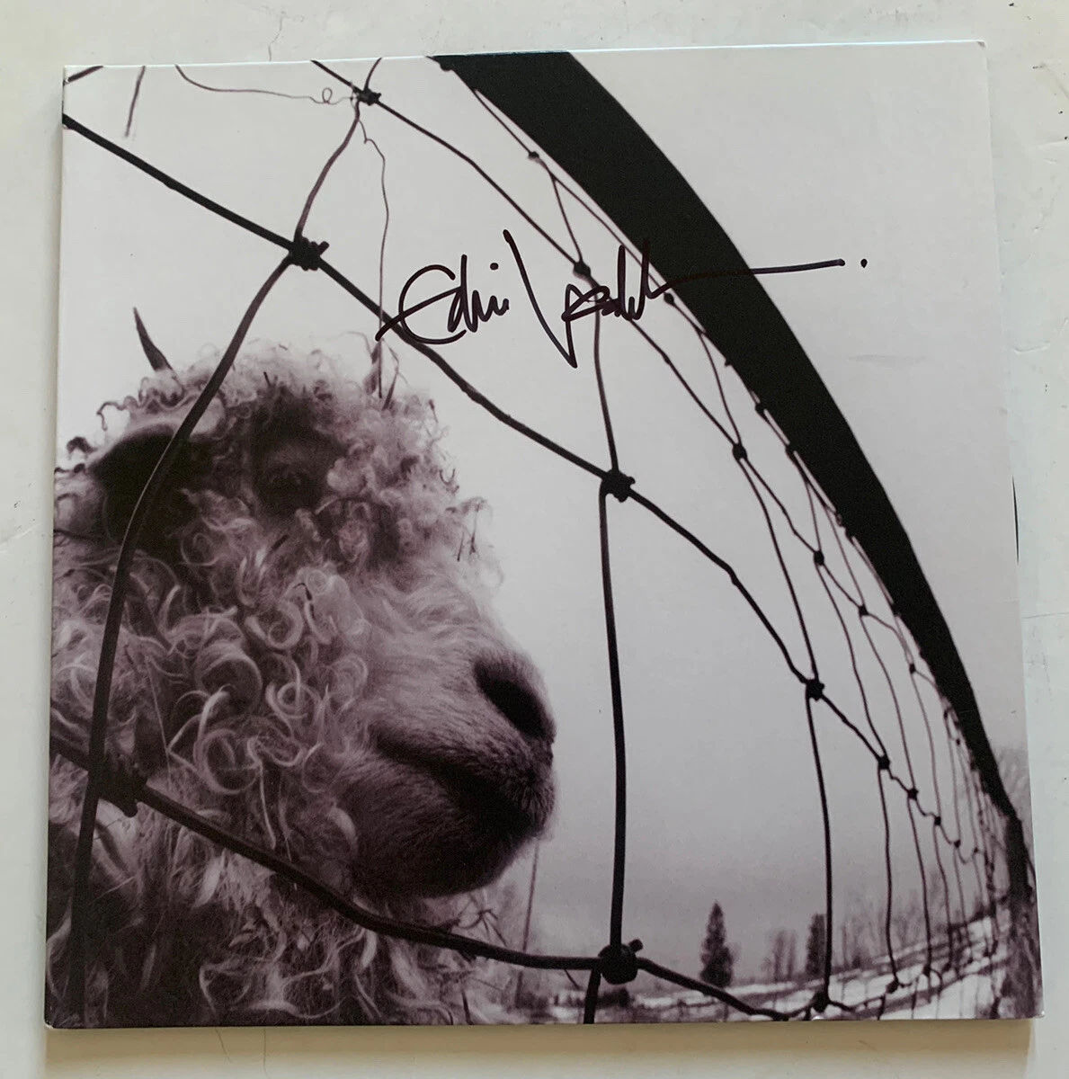 Eddie Vedder Pearl Jam Signed Autographed LP Record BECKETT BAS Certified